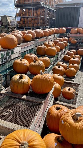 Schagen Zomer 2025 LekkerNaarZee